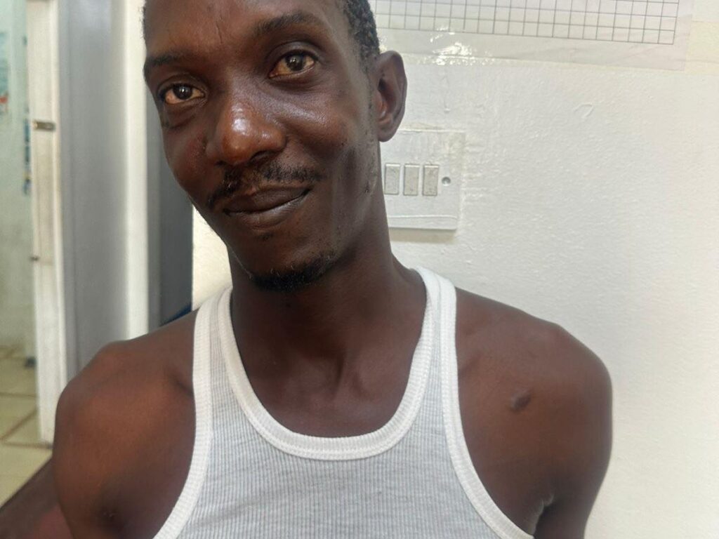 collage 2026 03 12T145602.985