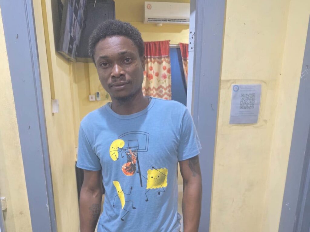 collage 2026 03 12T150746.269