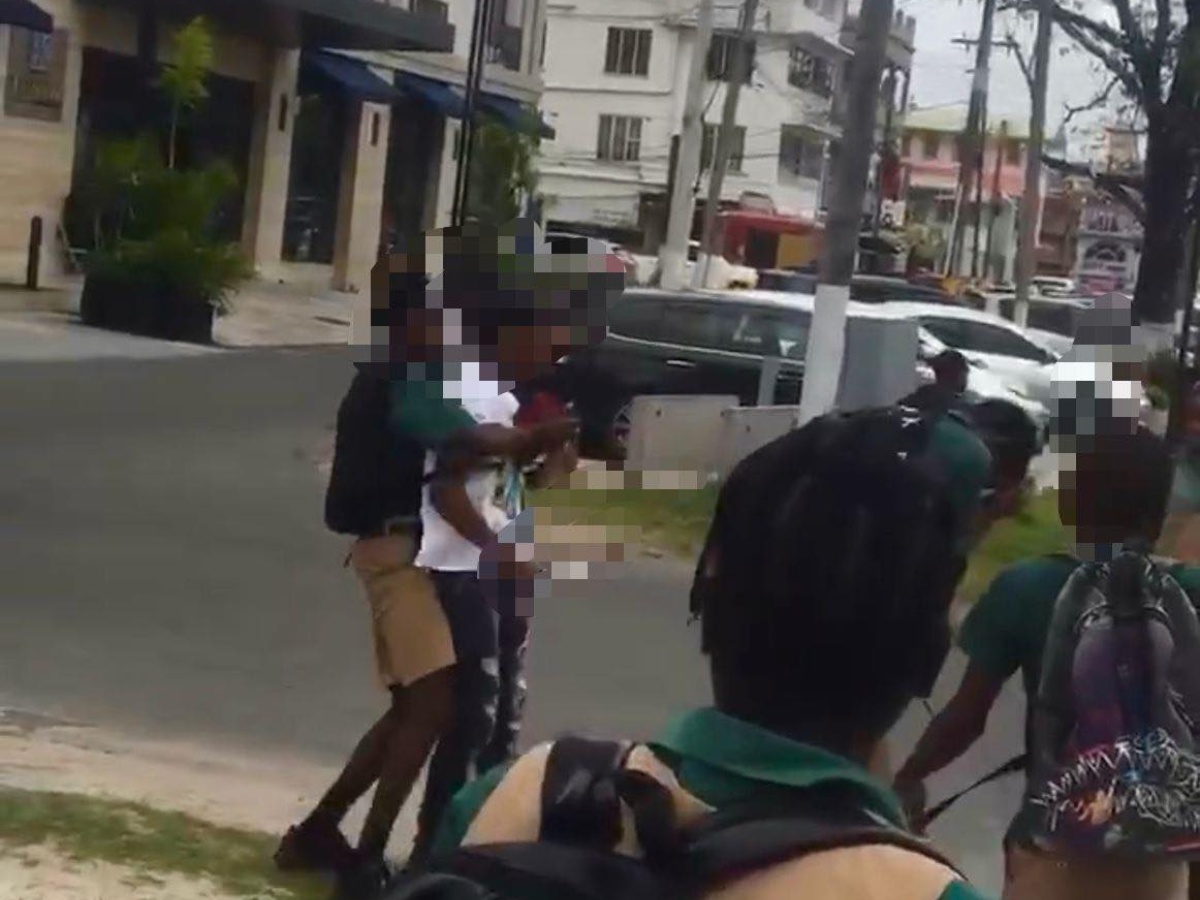 collage 2026 03 13T120719.239