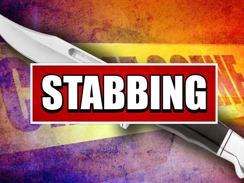 collage 2026 03 13T190741.221