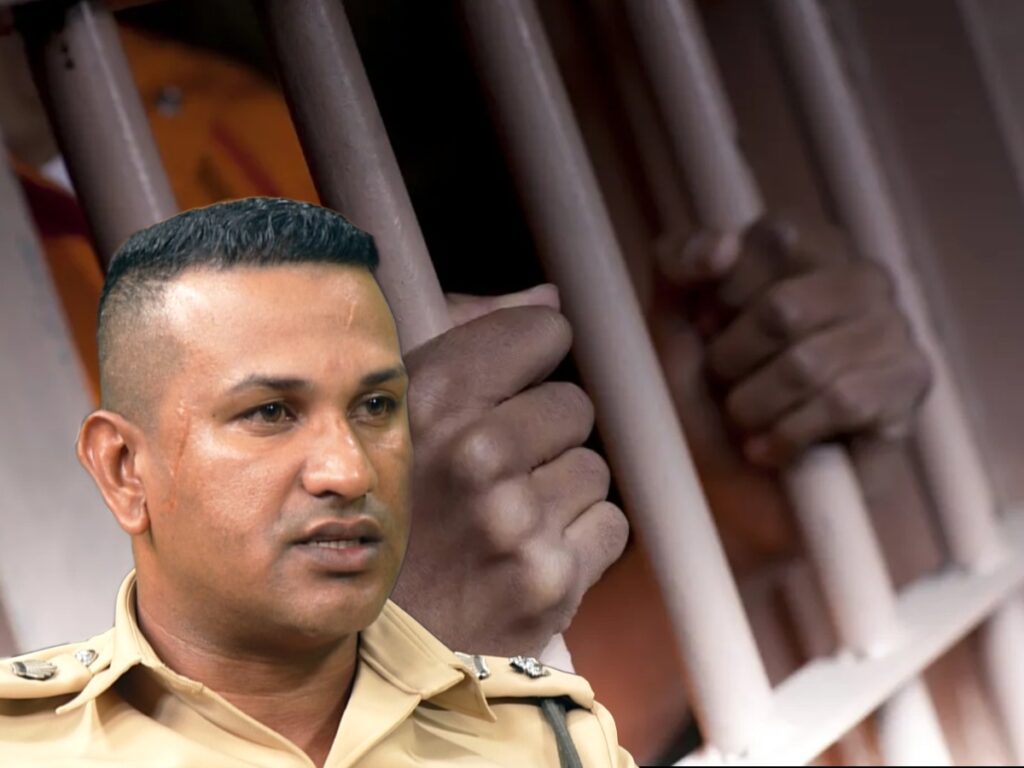 collage 2026 03 13T191254.777