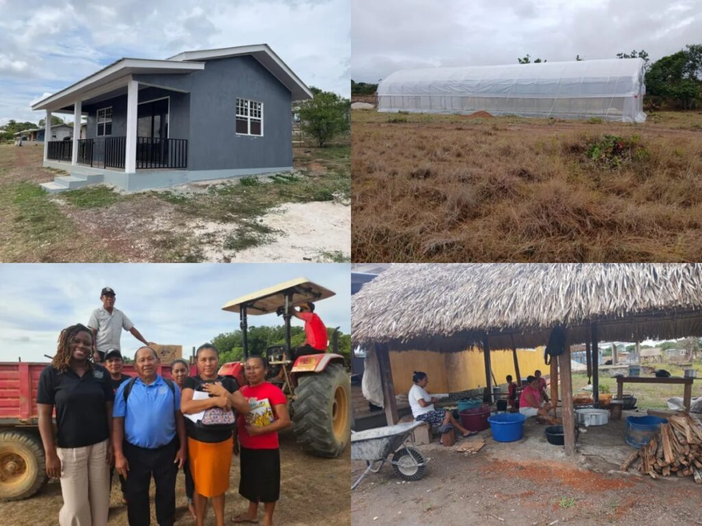 collage 2026 03 14T100734.688