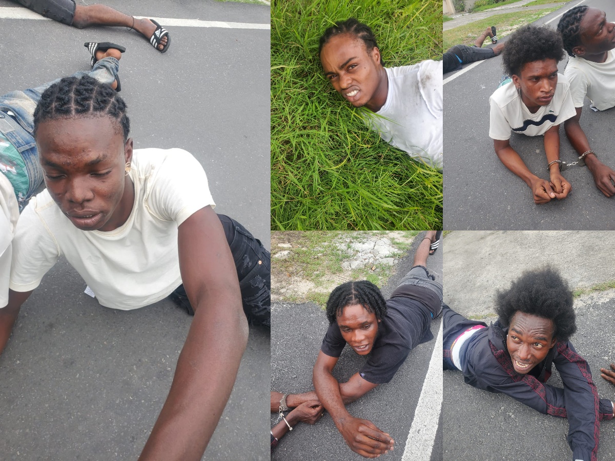 collage 2026 03 15T153334.005