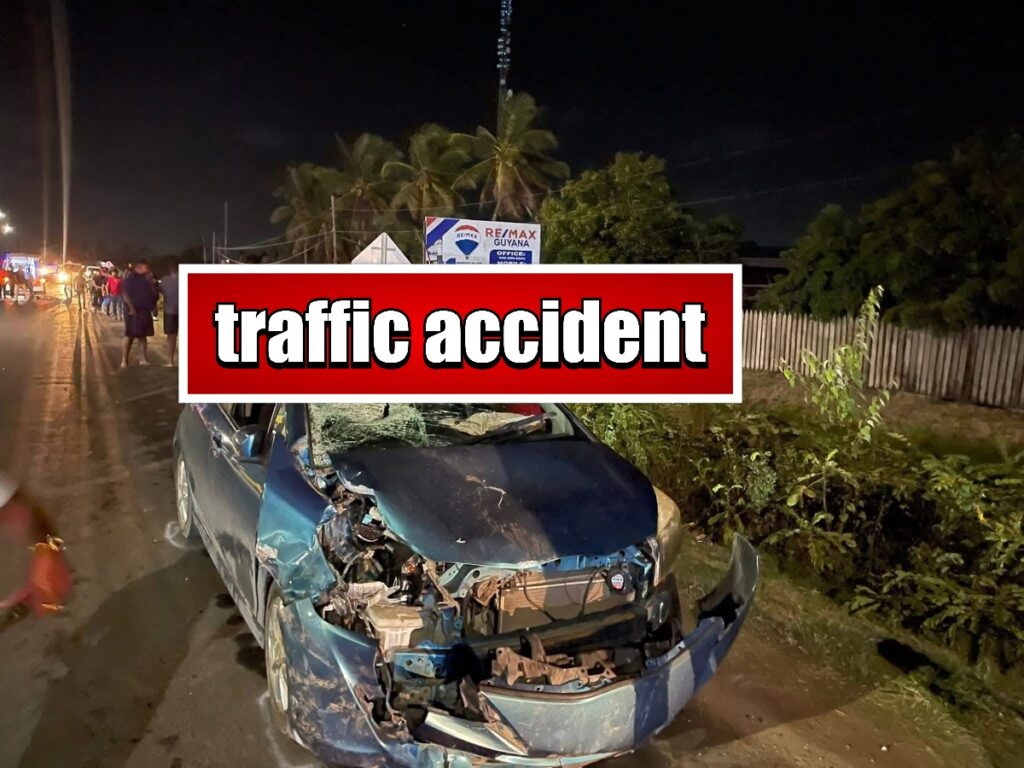 collage 2026 03 15T194549.317