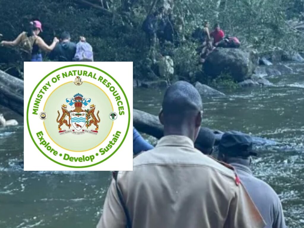 16 Gold Miners Hauled Before Courts in March as Ministry Cracks Down on Illegal Mining 2 collage 2026 03 31T203308.216