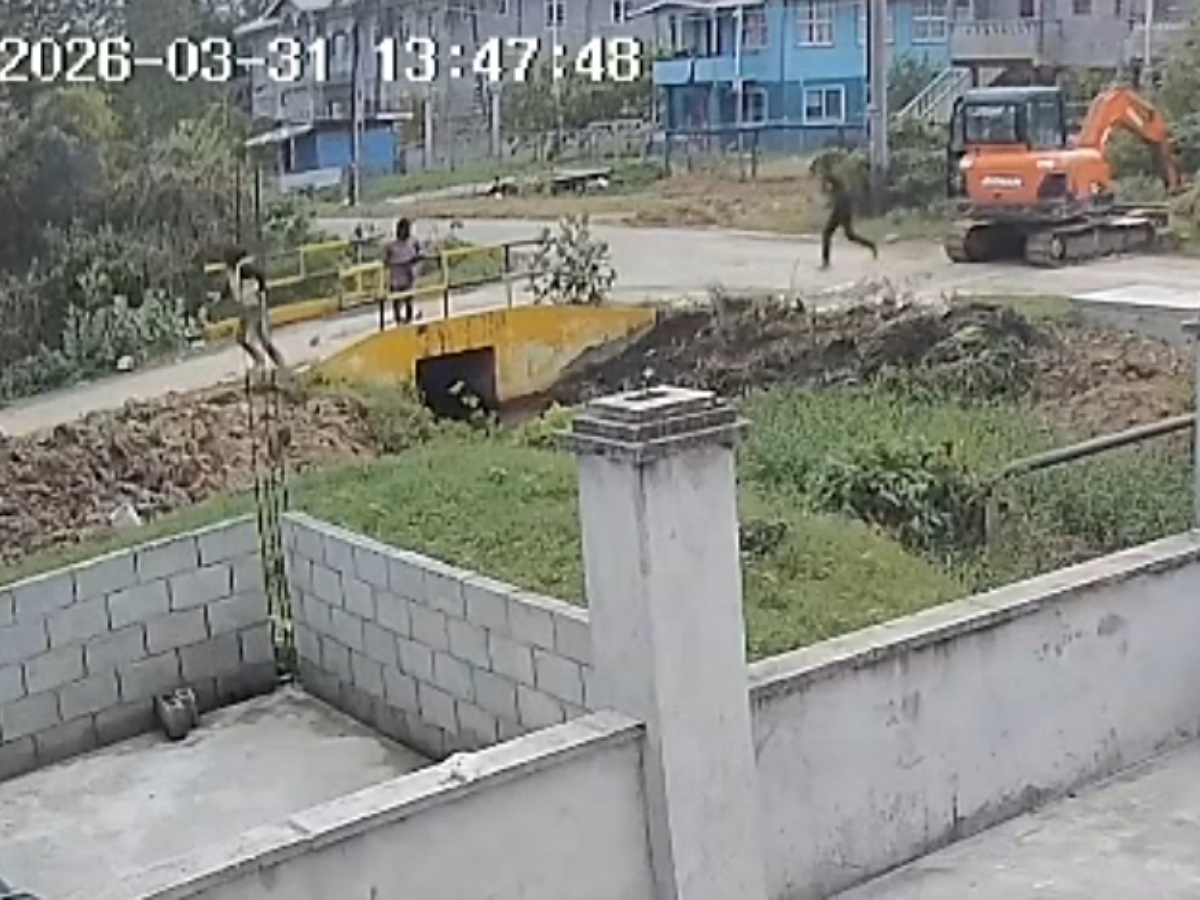 collage 2026 03 31T214739.883