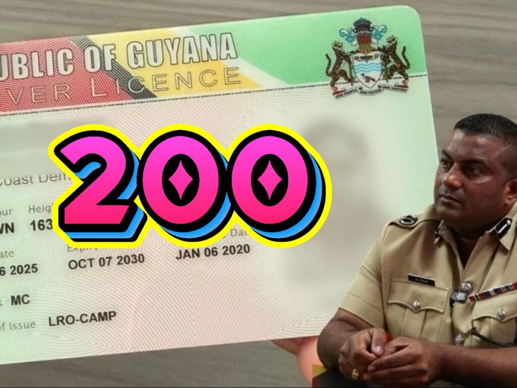 Over 200 Driver’s Licences Expected to Be Suspended as Demerit Point System Cracked Down 2 collage 32 1