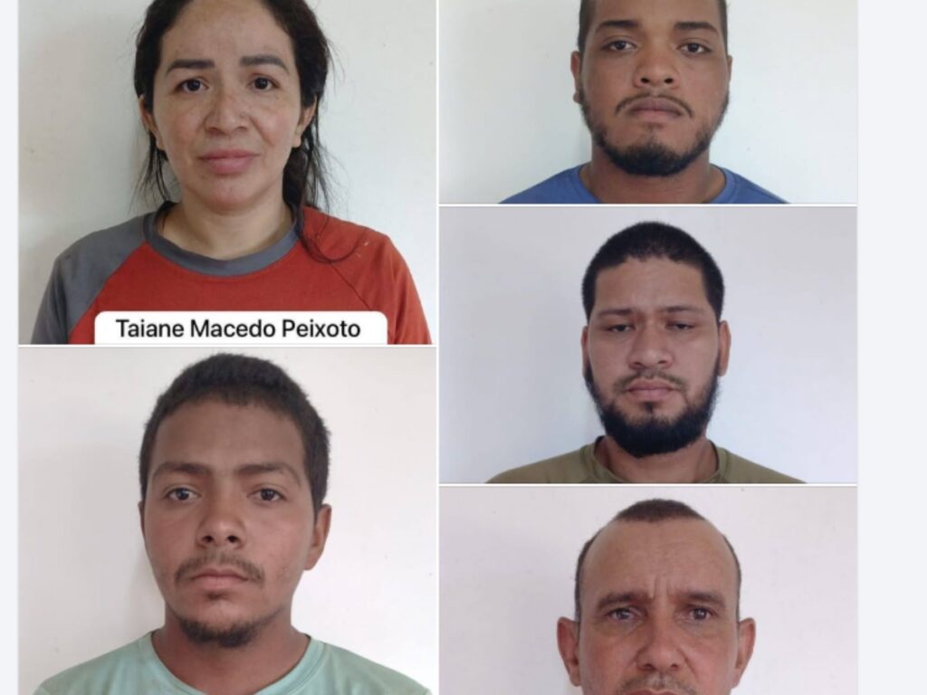 Brazilians Charged for Illegal Entry and Illegal Mining Plead Guilty in Court 2 collage 60