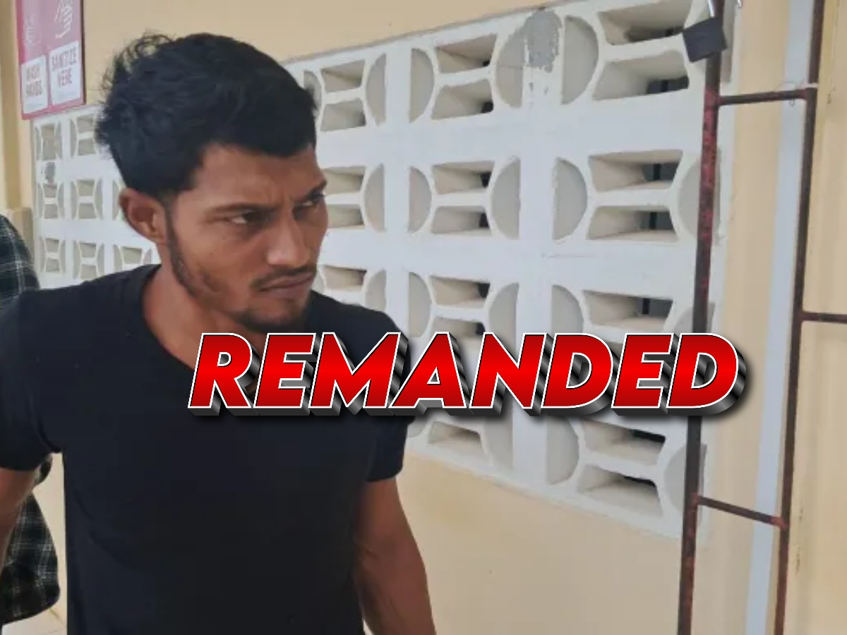 collage 2026 04 01T195453.883