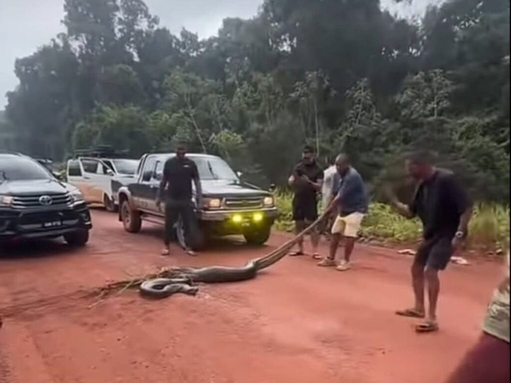 collage 2026 04 01T231644.192