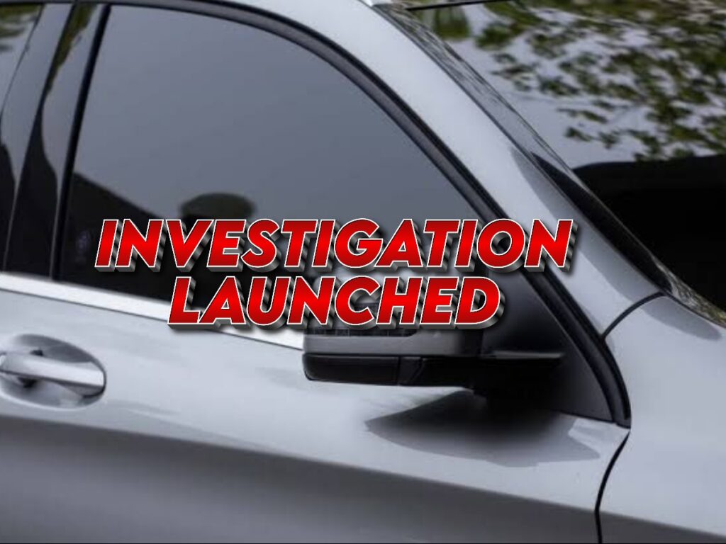 collage 2026 04 02T202901.523