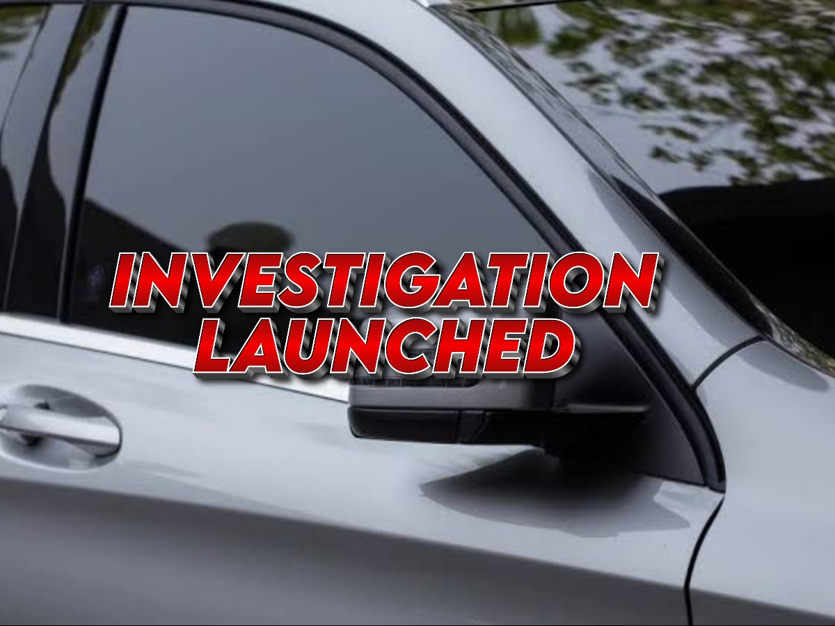 collage 2026 04 02T202901.523