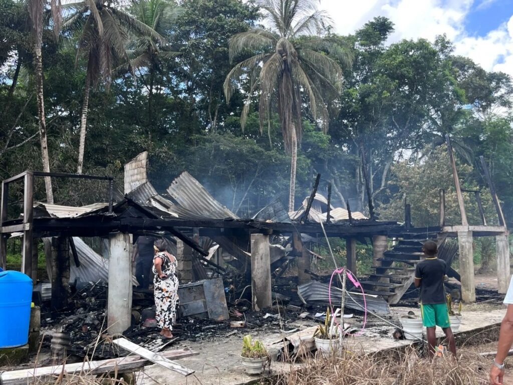 collage 2026 04 08T192744.866