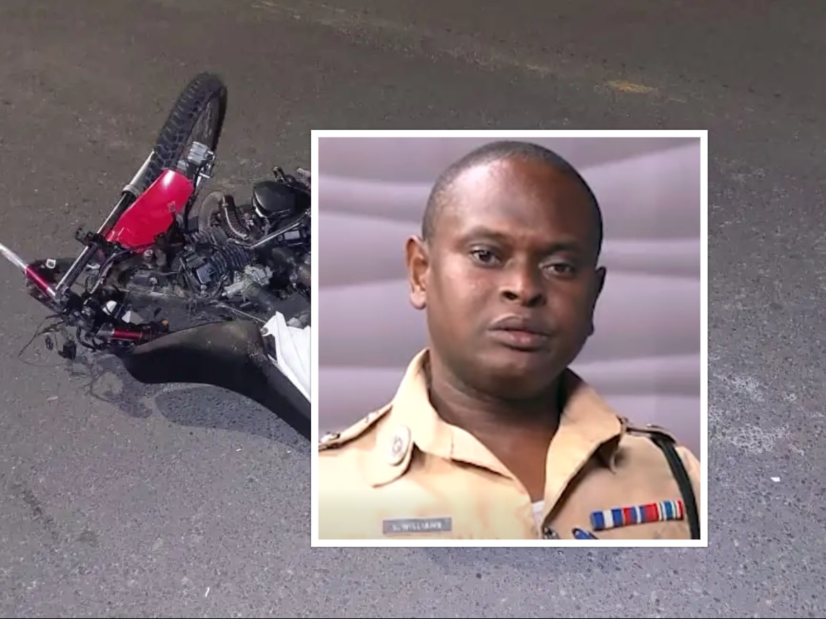 collage 2026 04 10T190405.138