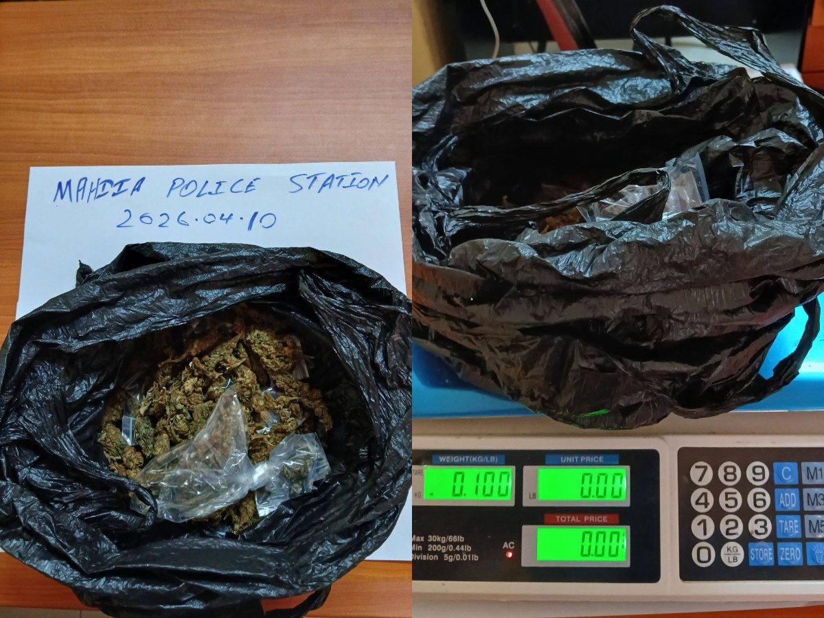 collage 2026 04 11T123427.277