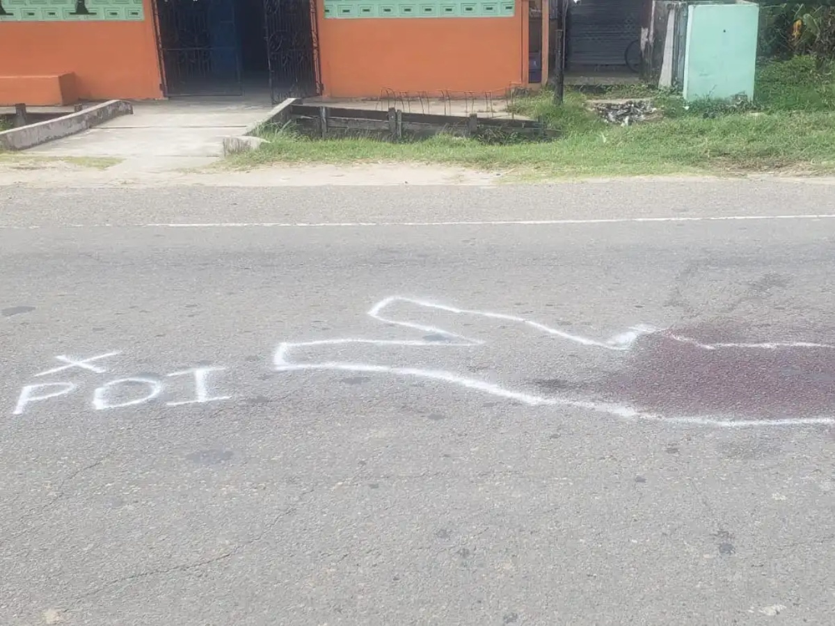 collage 2026 04 11T123959.992