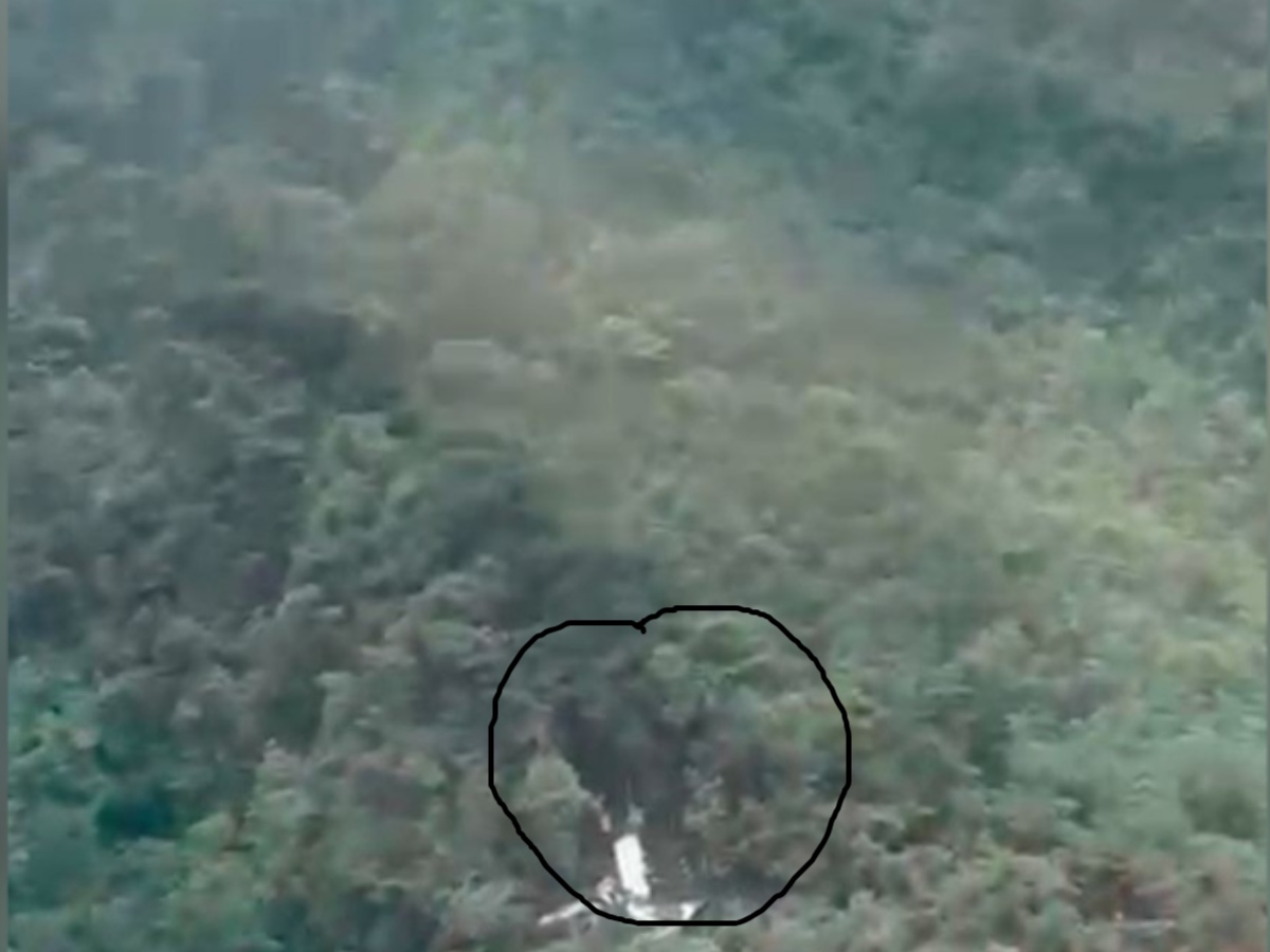 collage 2026 04 11T124418.763