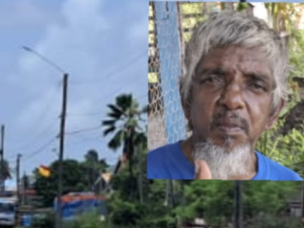 collage 2026 04 11T161752.234