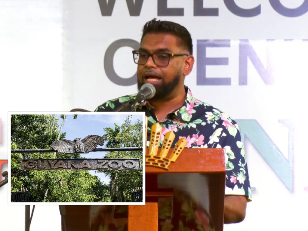 collage 2026 04 12T194013.268