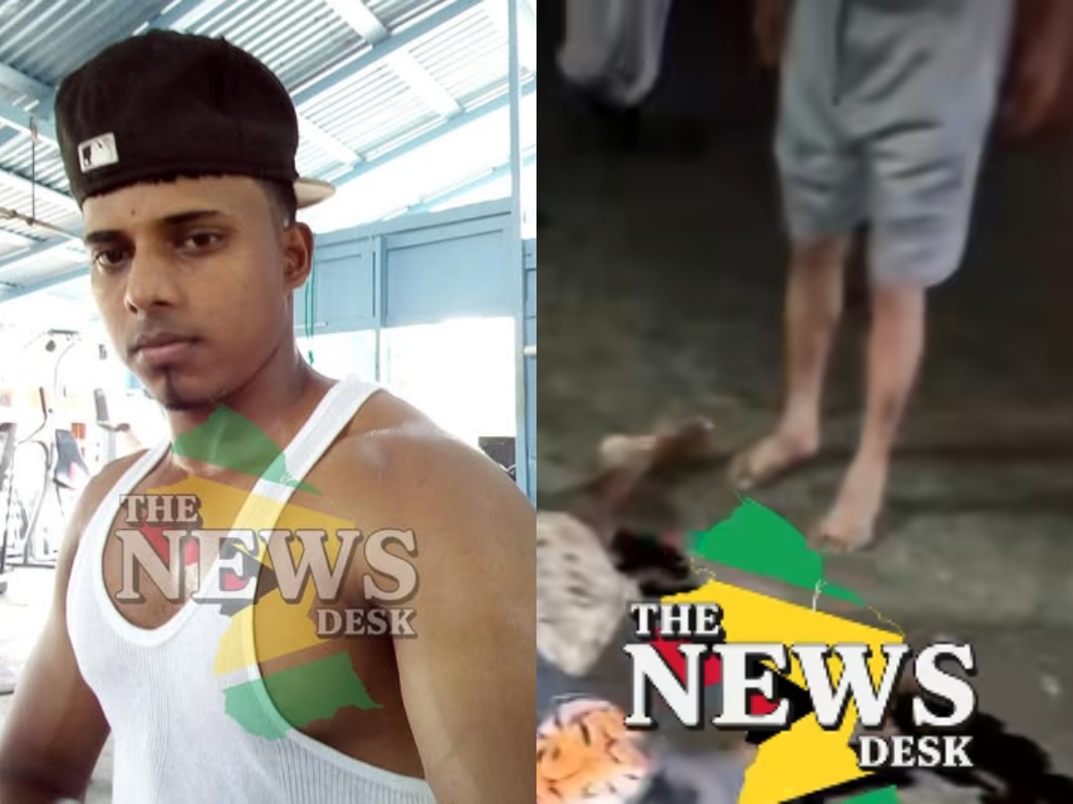 collage 2026 04 12T235437.200