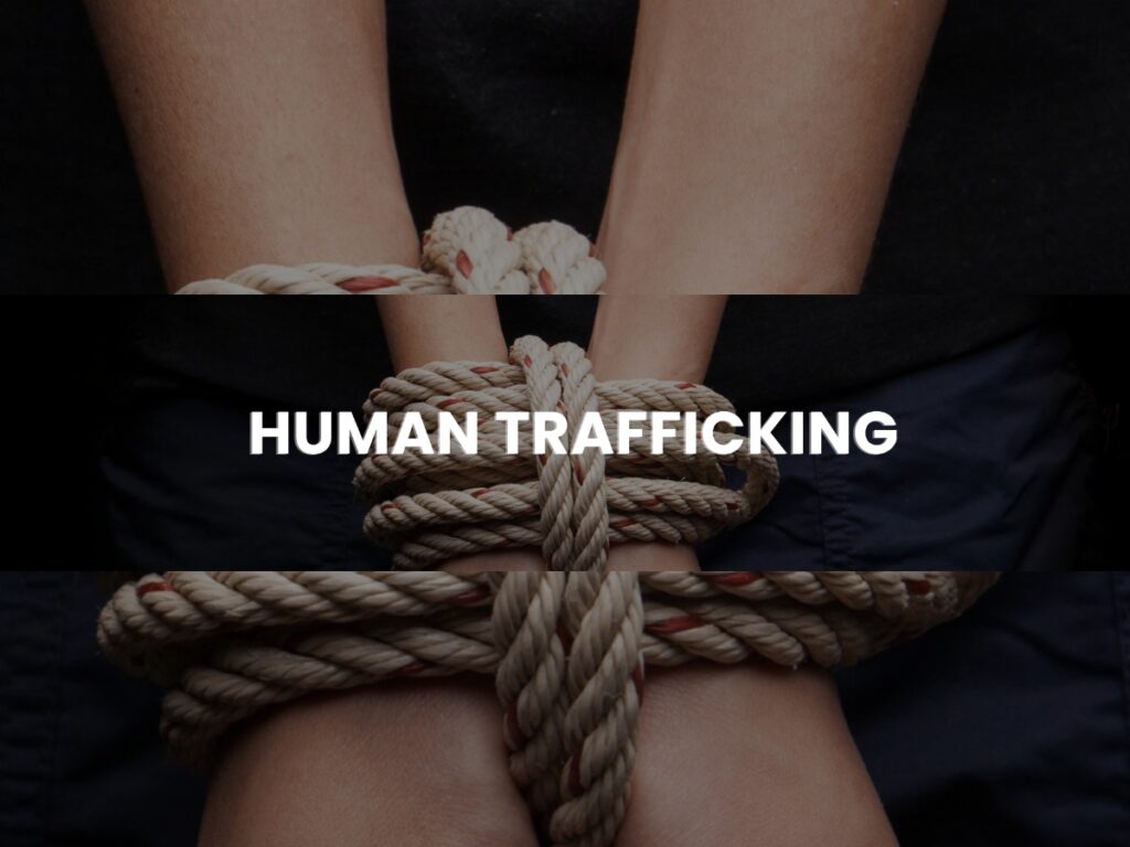 collage 2026 04 13T193857.750