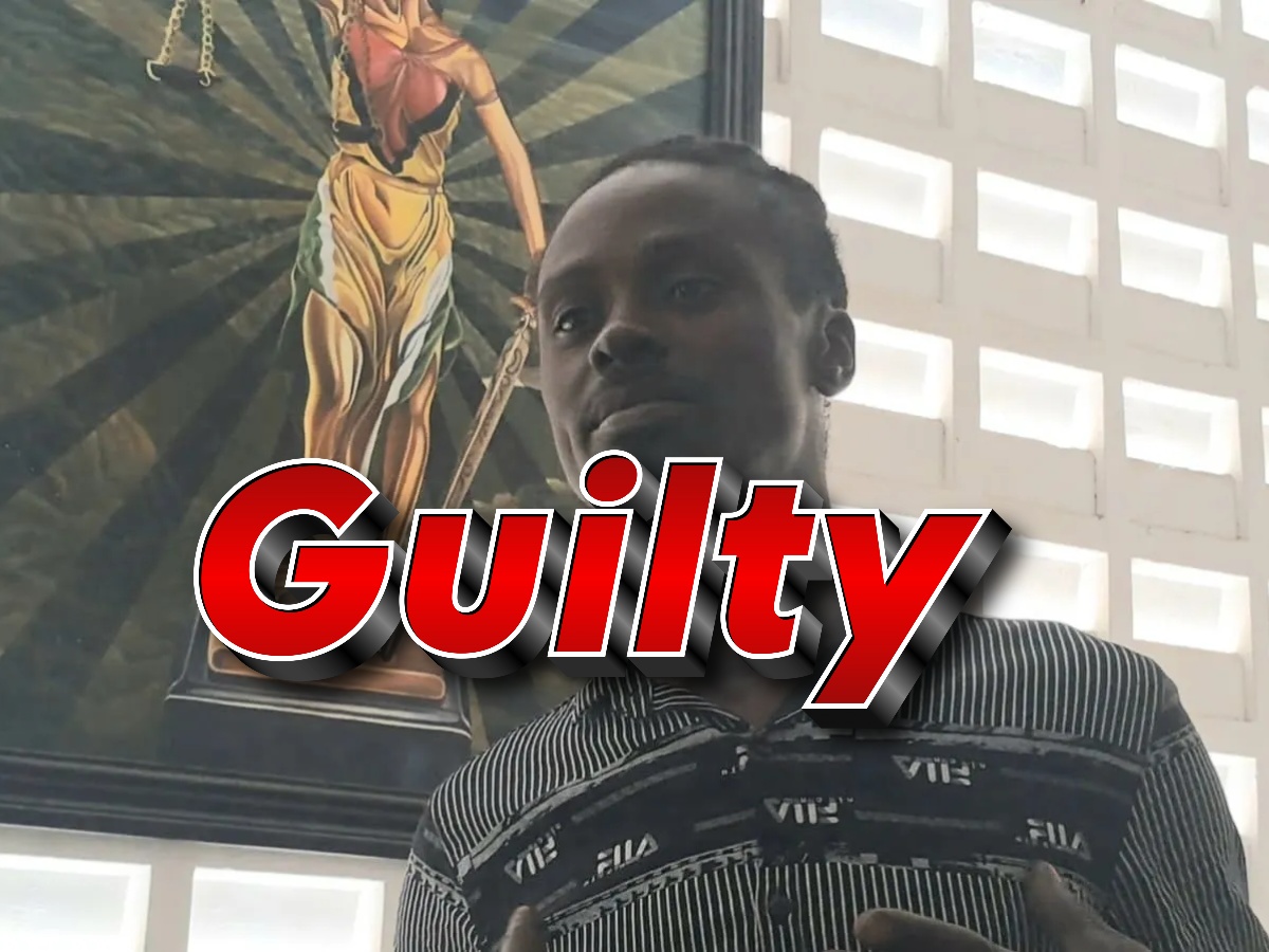 collage 2026 04 14T115739.119