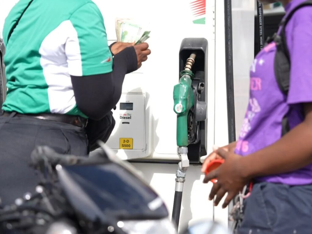 collage 2026 04 14T191449.370