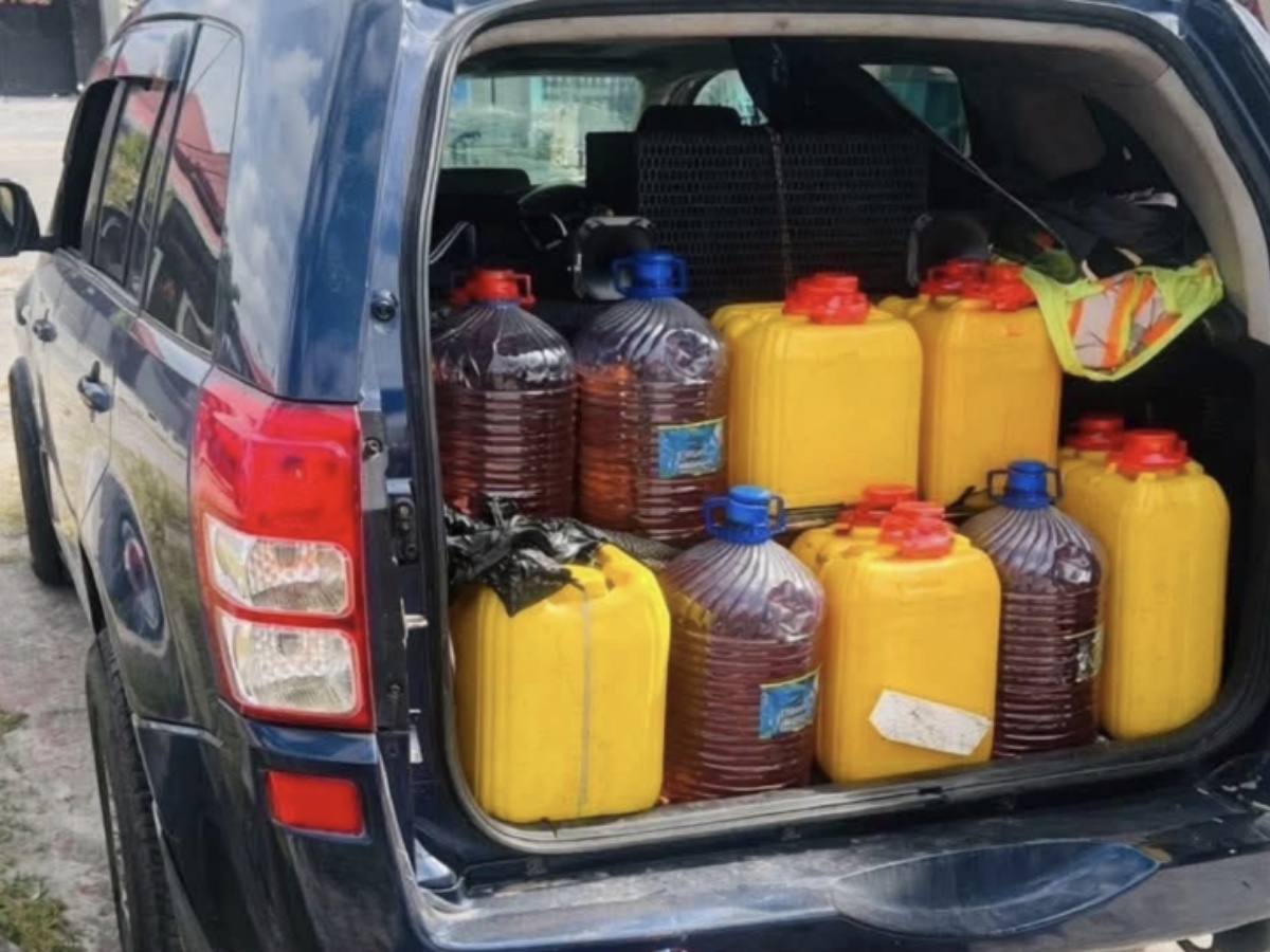 collage 2026 04 14T200952.823