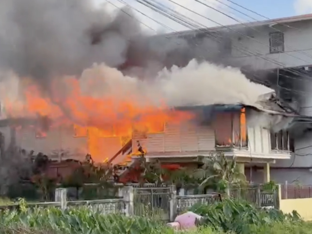 collage 2026 04 15T190928.029