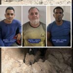 collage 2026 04 19T125606.811