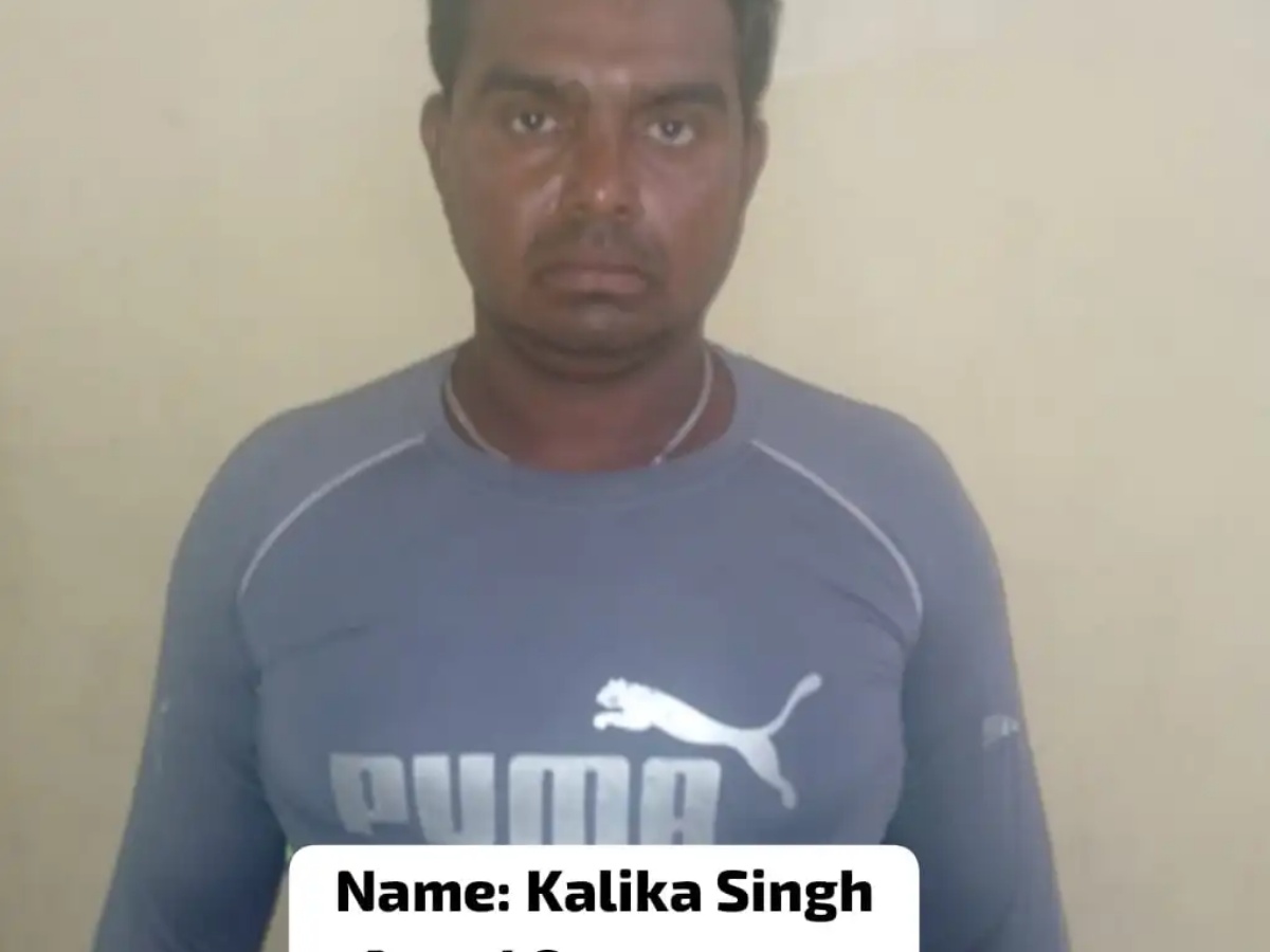 collage 2026 04 19T130234.795