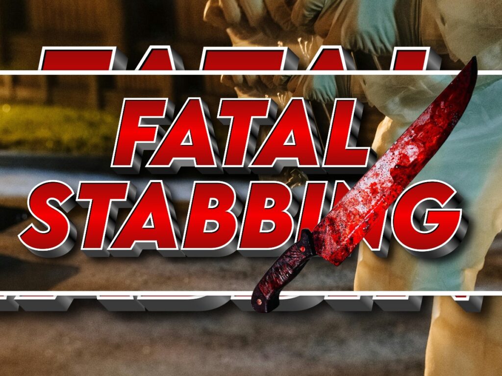 collage 2026 04 19T130835.483