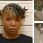 collage 2026 04 19T131305.182