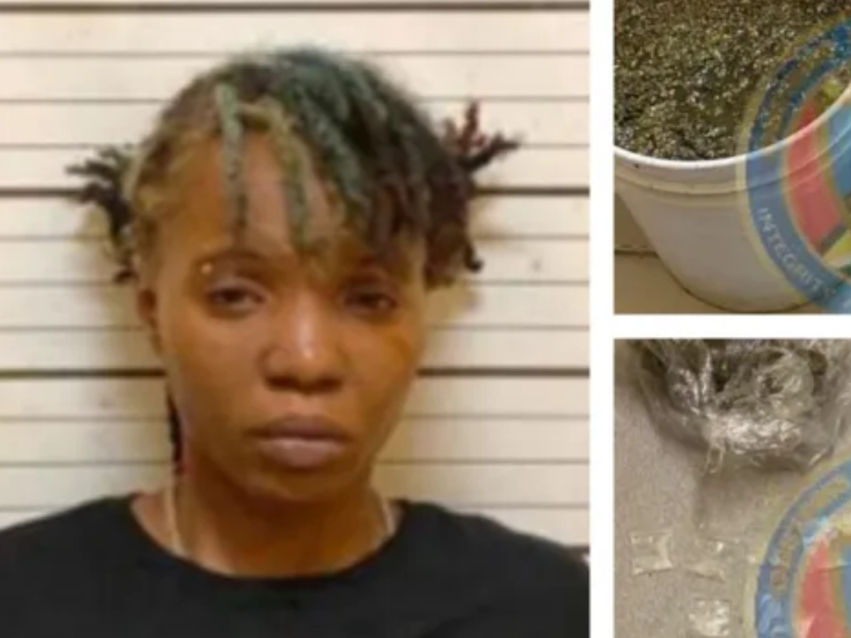 collage 2026 04 19T131305.182