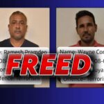 collage 2026 04 20T195632.877