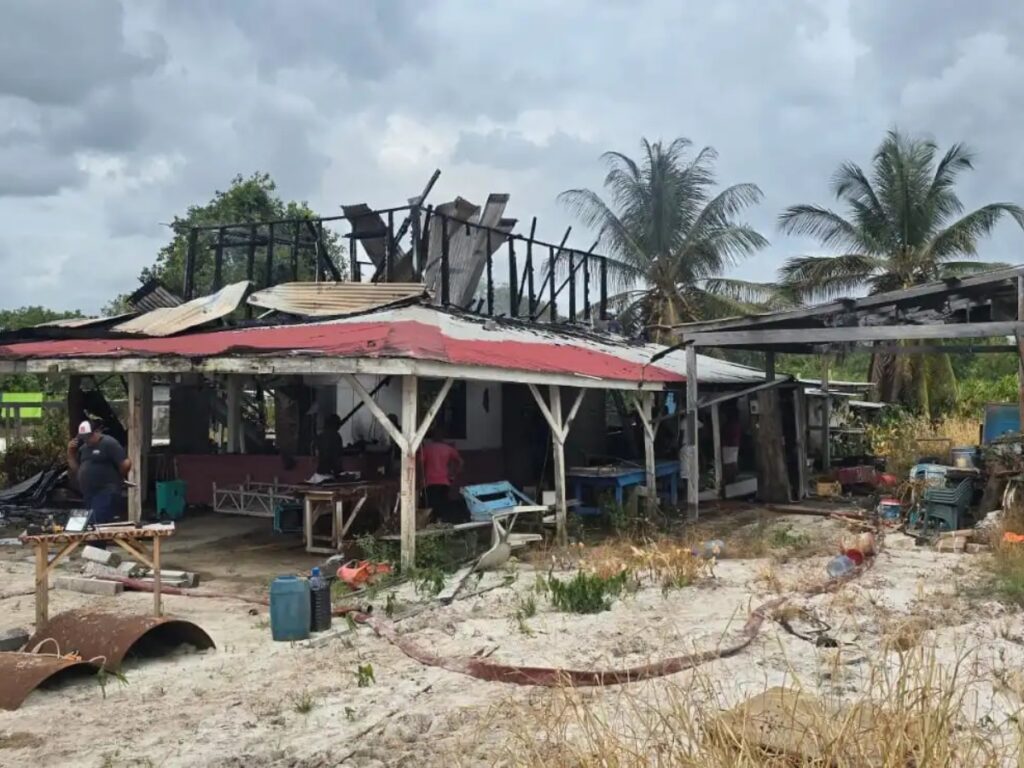 collage 2026 04 20T201439.086