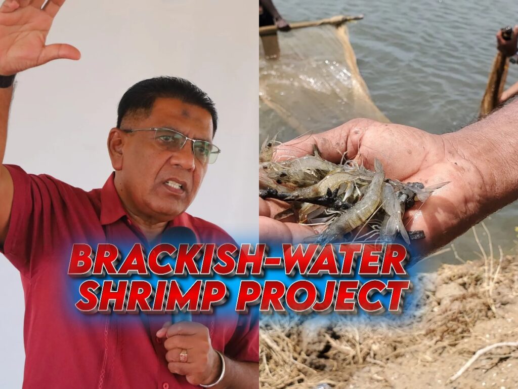 collage 2026 04 23T195725.224