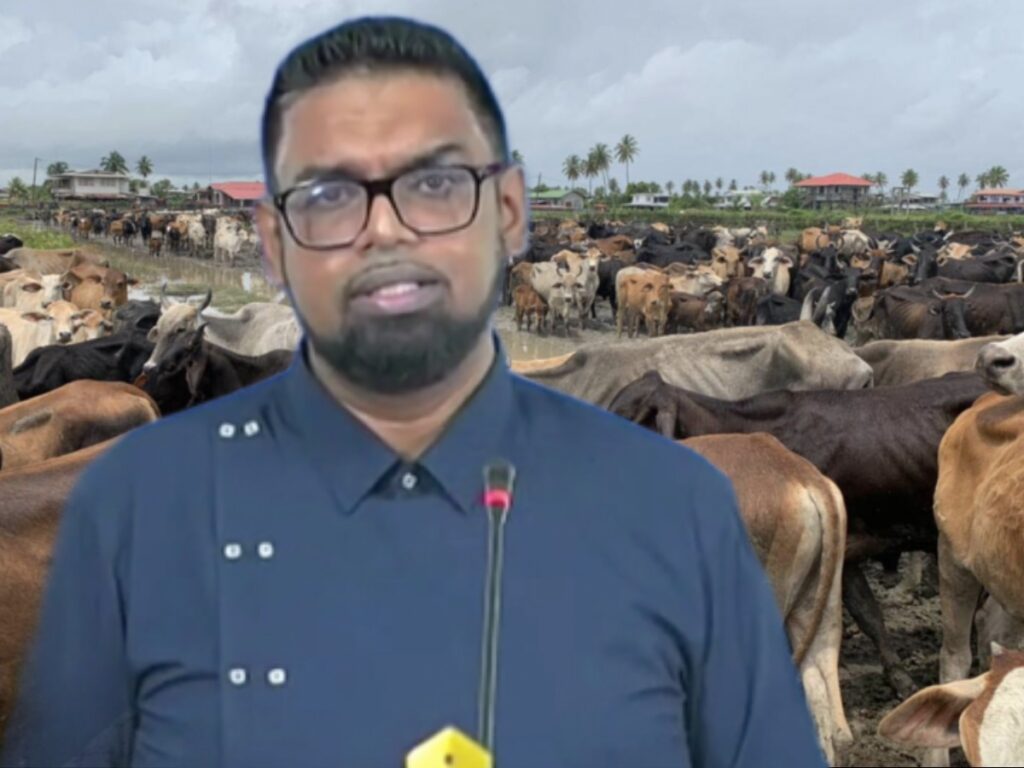 collage 2026 04 23T201602.630