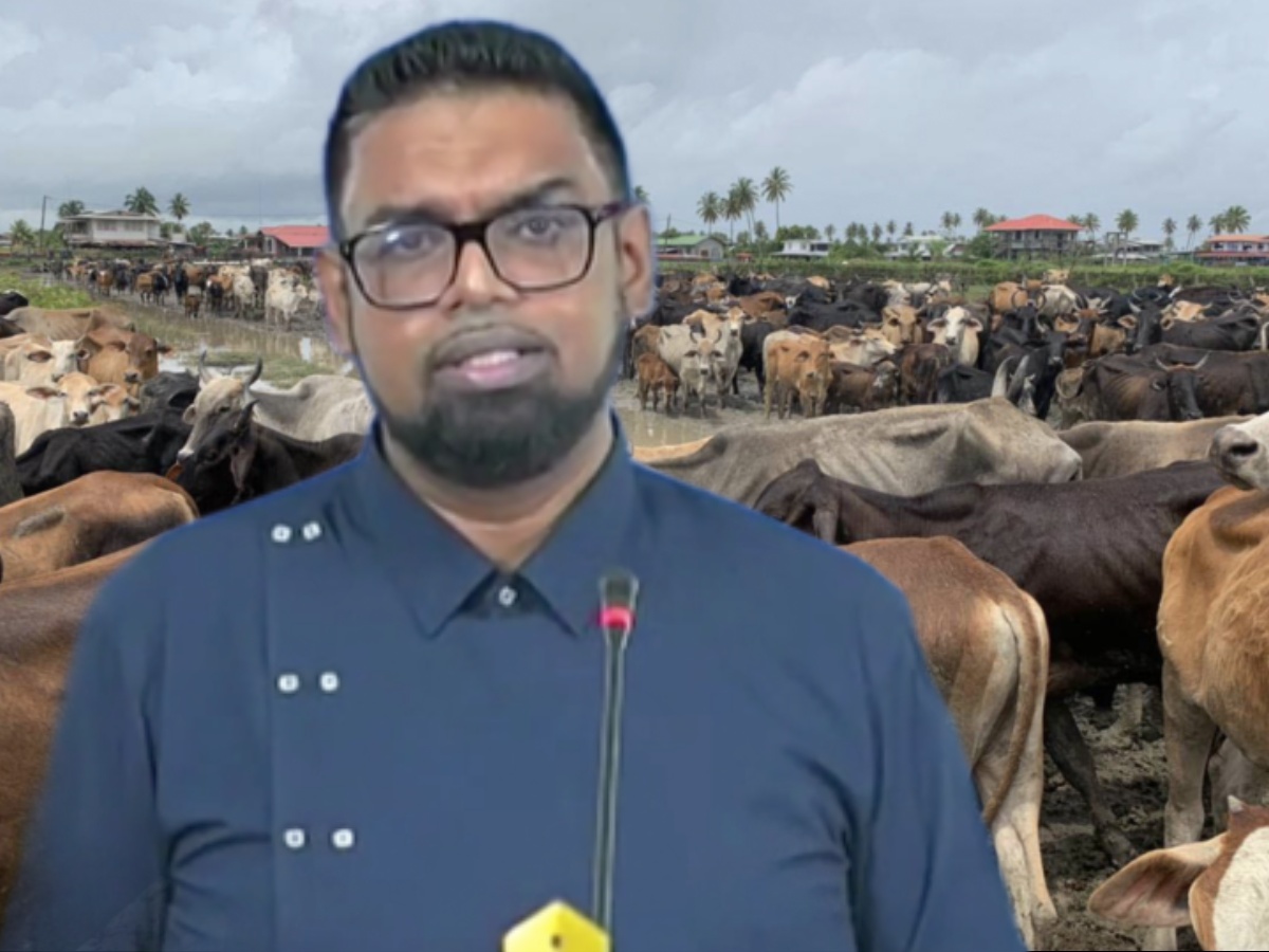 collage 2026 04 23T201602.630