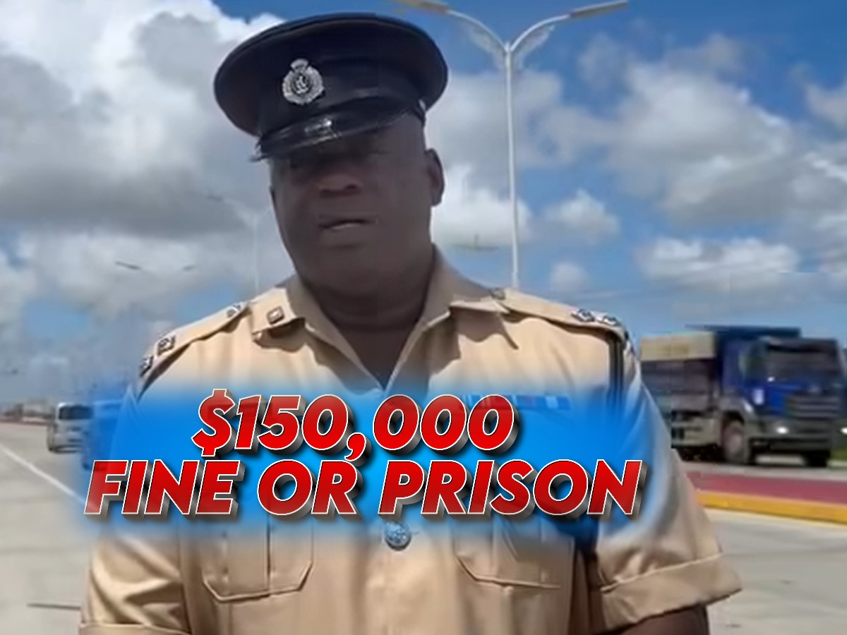 collage 2026 04 23T204356.081