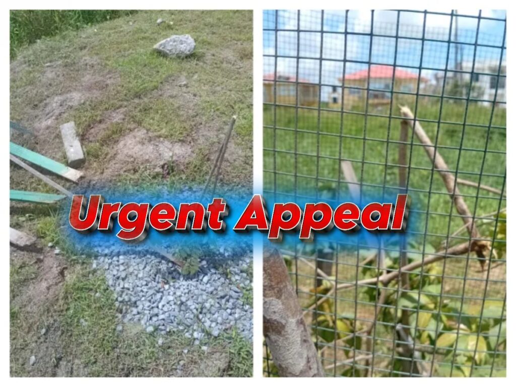 collage 2026 04 24T163822.150