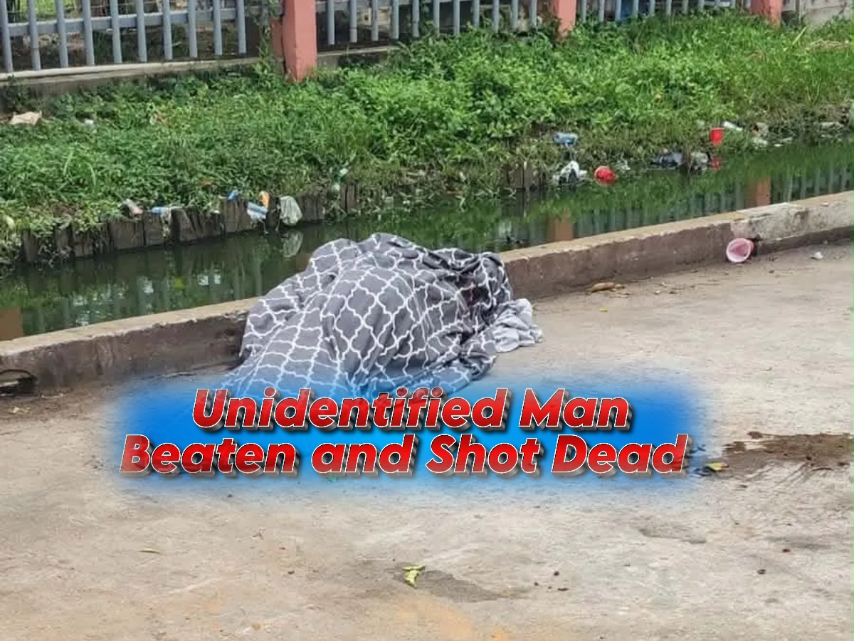 collage 2026 04 27T145429.548