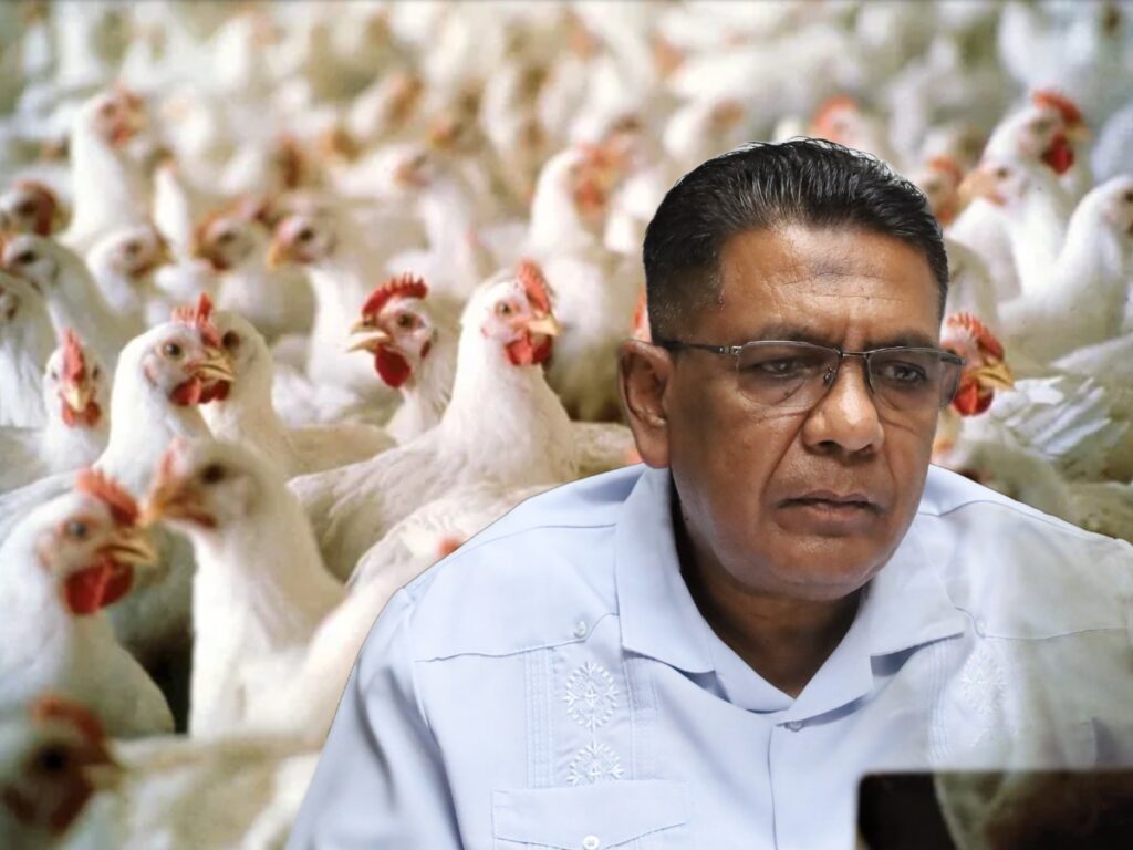 collage 2026 04 27T145839.893