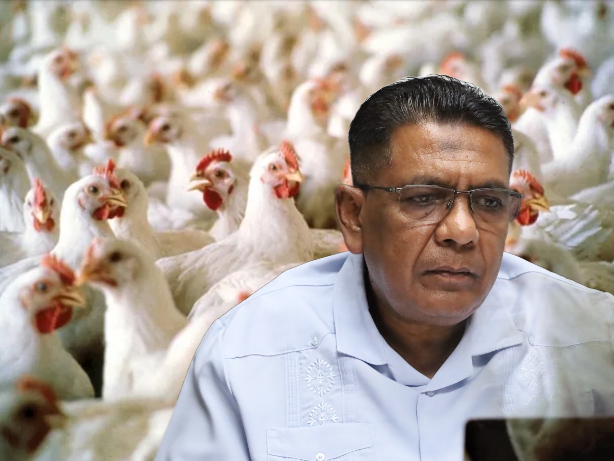 collage 2026 04 27T145839.893