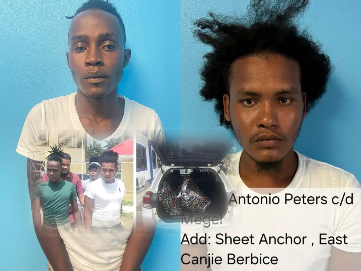 collage 2026 04 27T151732.447