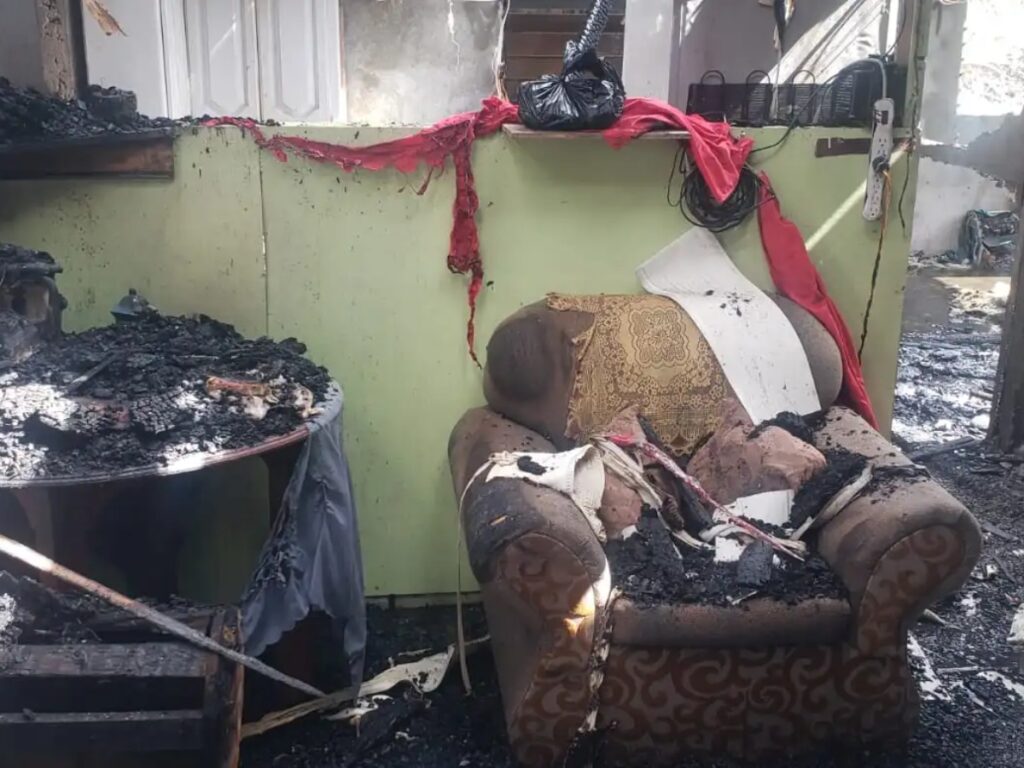 collage 2026 04 28T125154.524