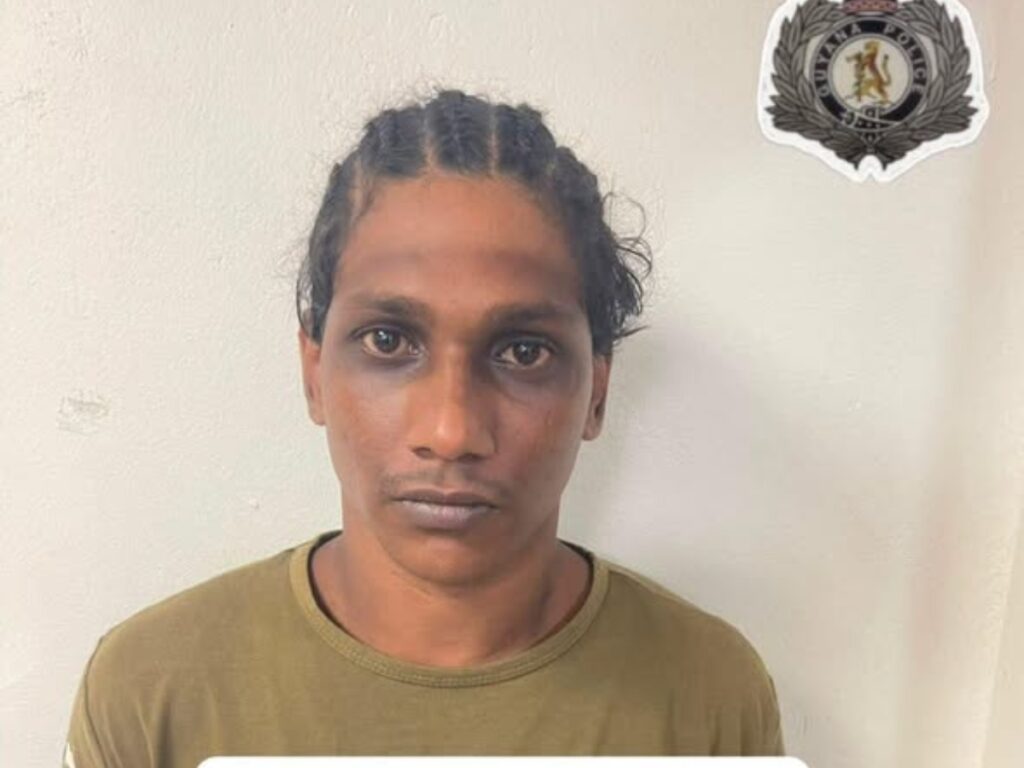 Annandale Labourer Remanded on Robbery and Property Damage Charges 2 collage 2026 06 10T132903.932