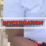 Police Investigate Alleged Sexual Assault in Blairmont 37 collage 2026 06 16T144344.035