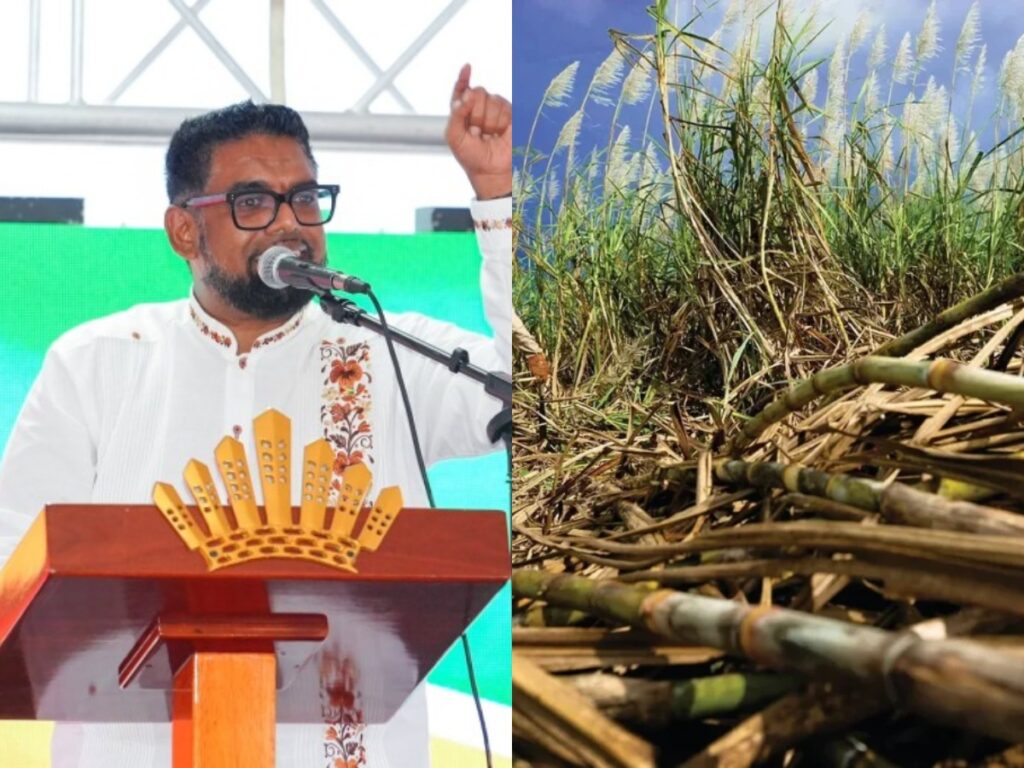President Ali Issues Ultimatum to GuySuCo Amid Production Struggles 2 collage 2026 06 17T190559.310