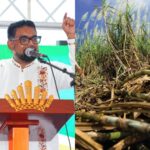 President Ali Issues Ultimatum to GuySuCo Amid Production Struggles 15 collage 2026 06 17T190559.310